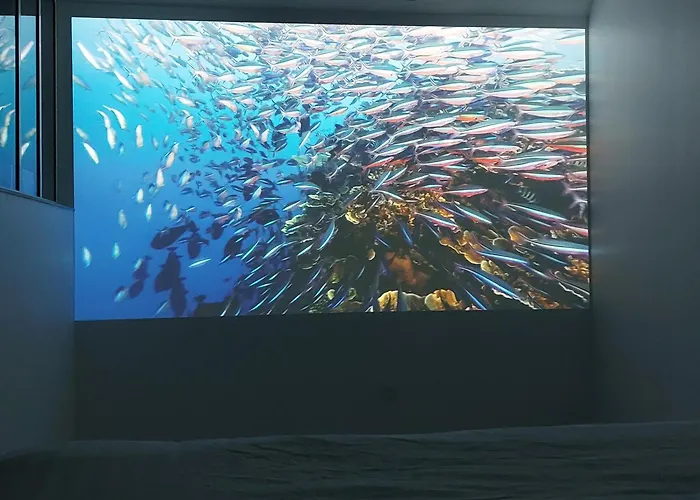 Les Delices Rooms-loveroom White *